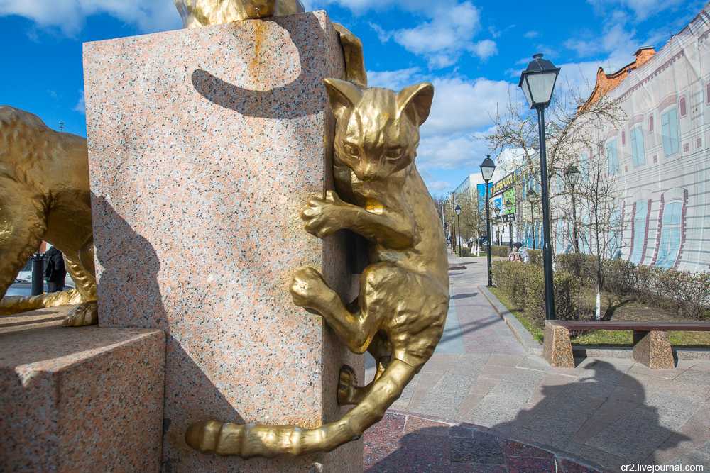 Сквер сибирских кошек в тюмени | история, фото, адрес