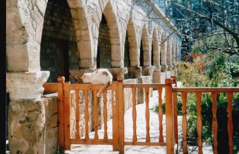 Монастырь киккос на кипре: история, иконы, дорога | христианство