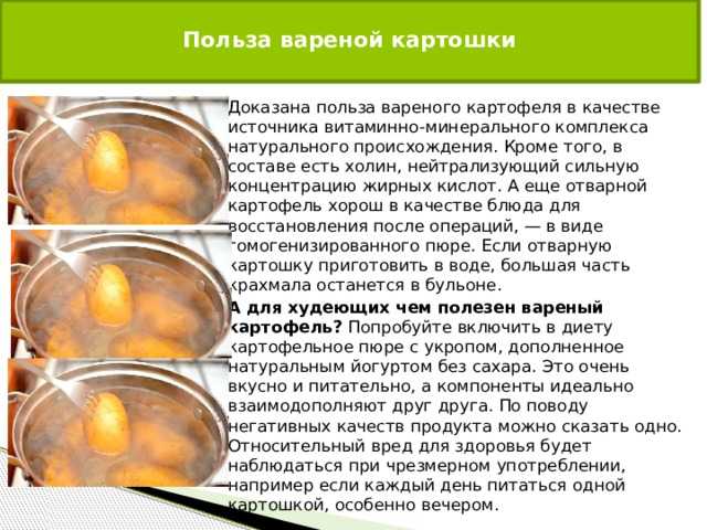 ᐉ можно ли джунгарским и сирийским хомякам давать бананы - zoopalitra-spb.ru