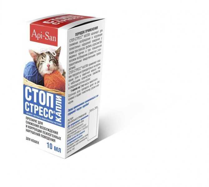 Стоп-стресс для кошек: схема применения капель и таблеток