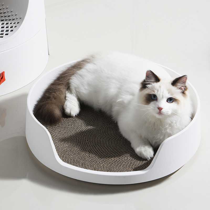 7 лучших закрытых туалетов для кошек - рейтинговое агенство simplerule
