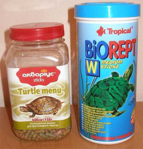 Чем кормить красноухую черепаху в домашних условиях?