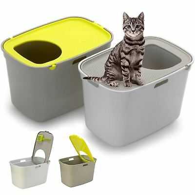 Какой наполнитель для котят лучше использовать в кошачьем туалете