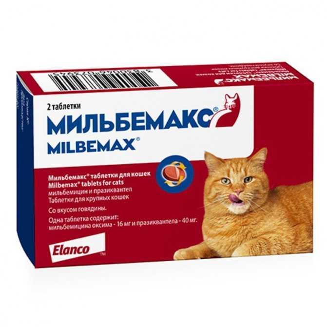 Лучшие препараты от глистов для кошек широкого спектра - kupipet.ru