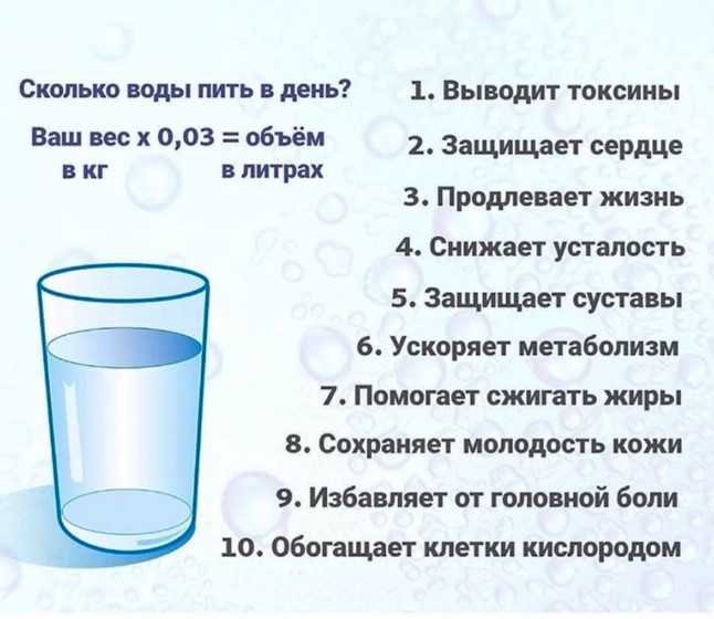 Как приучить хомяка к поилке, почему хомяк не пьет воду (или пьет много)