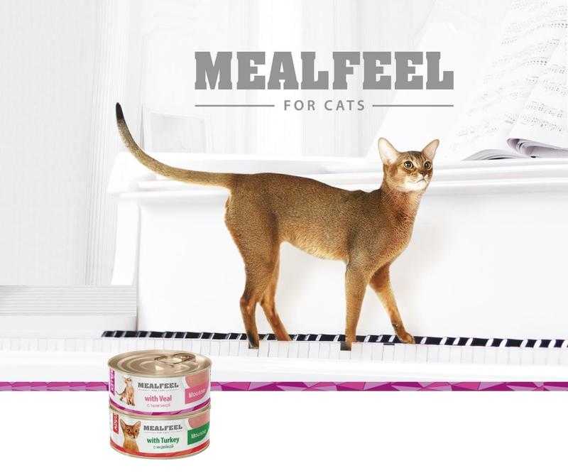 Корм mealfeel для кошек – полный разбор состава