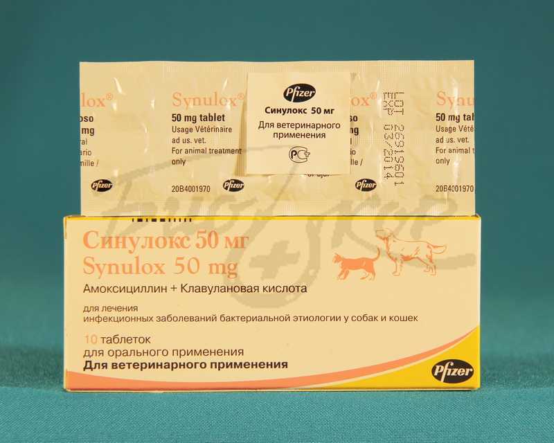 Синулокс 250 мг, 10 шт