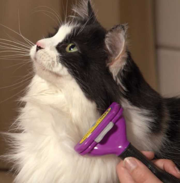 Колтунорез для кошек - как пользоваться и виды колтунорезов