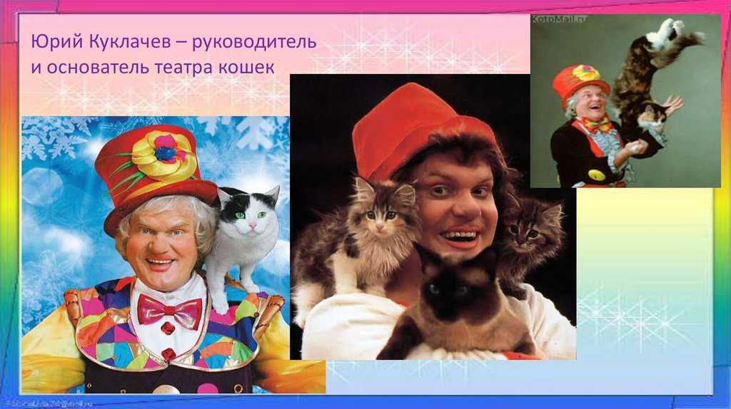 Юрий куклачев и его театр кошек