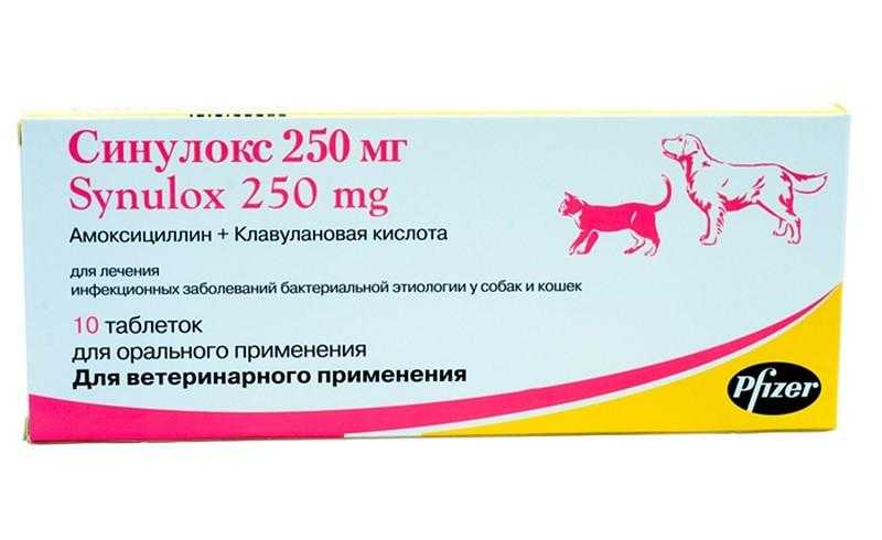 Синулокс для собак - инструкция по применению, таблетки или уколы, цена, отзывы | petguru