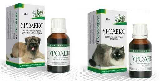 Онсиор для кошек: инструкция по применению, назначение, дозировки, отзывы ветеринаров