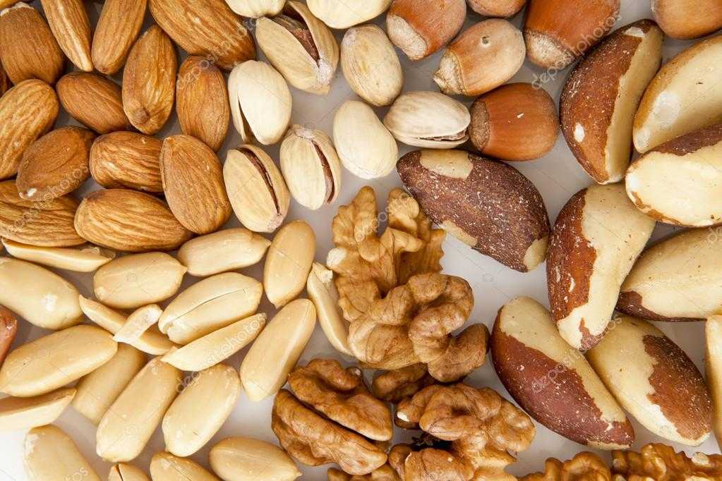 Какие орехи можно хомякам 🚩 другие домашние питомцы