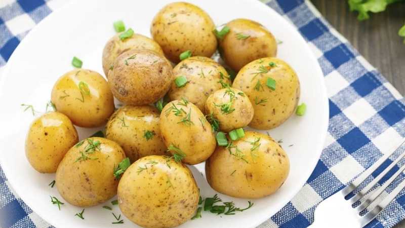 Можно ли морским свинкам сырую картошку: стоит ли давать вареную хомякам и на корм скоту, картофель для животных