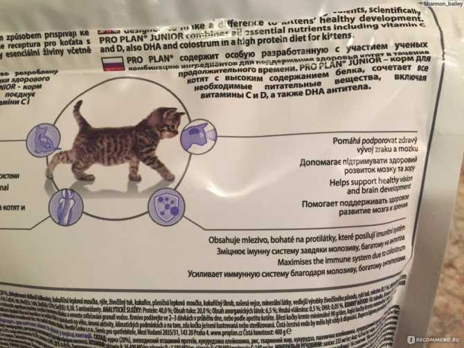 Разберемся в особенностях лечебных кормов для кошек их видах, а также о том, как правильно выбирать и использовать его в кормлении кошки.