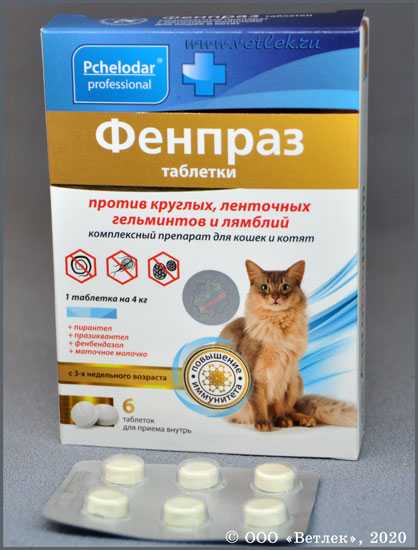 Антигельминтный препарат для кошек Лактобифадол: состав и форма выпуска, показания и инструкция по применению, противопоказания, отзывы, цена