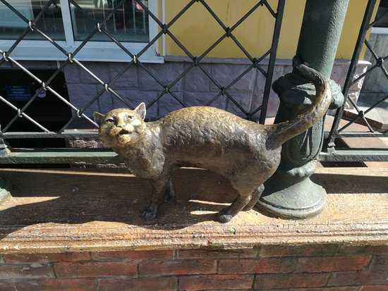 Памятник кошке в санкт петербурге – скульптура кот