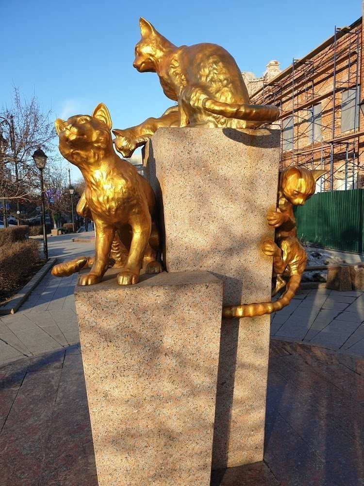 Сквер сибирских кошек, посвящённый кошкам- спасительницам