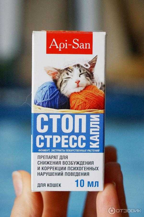 Стоп-стресс для кошек: схема применения капель и таблеток