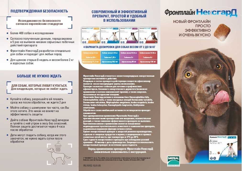Нексгард спектра для собак: инструкция по применению, действие, отзывы специалистов