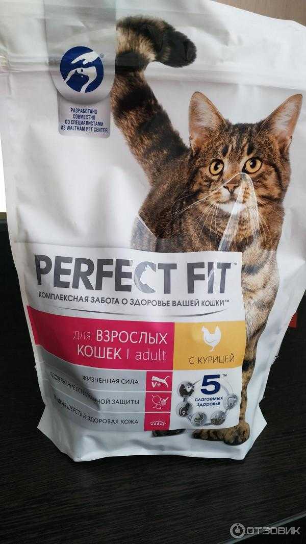 Лучший влажный корм для кошек: рейтинг от «петобзор»