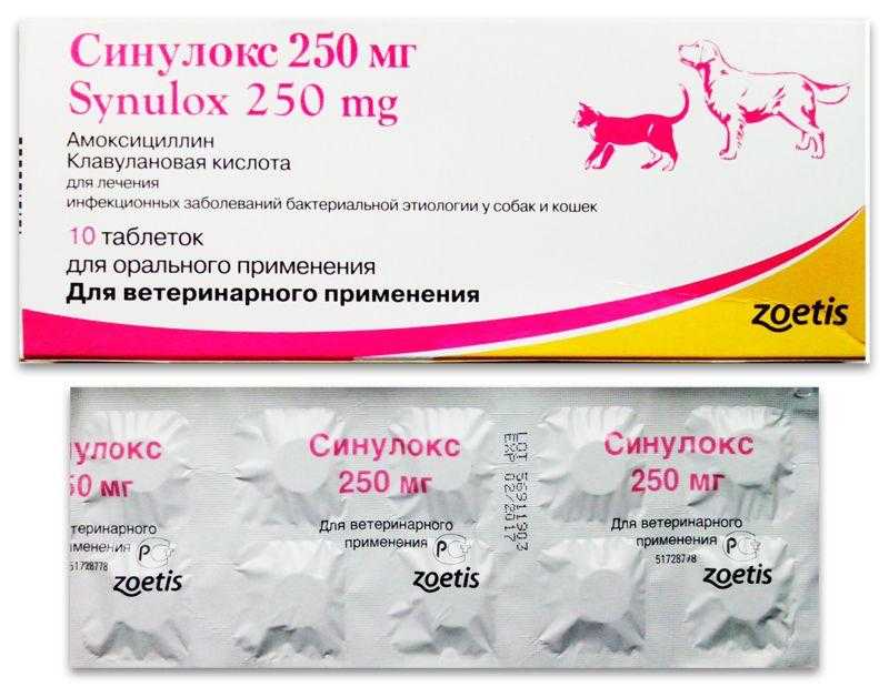 Антибактериальный препарат широкого спектра действия — синулокс