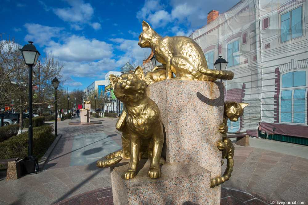 Кот казанский – еще одна легенда прекрасного города