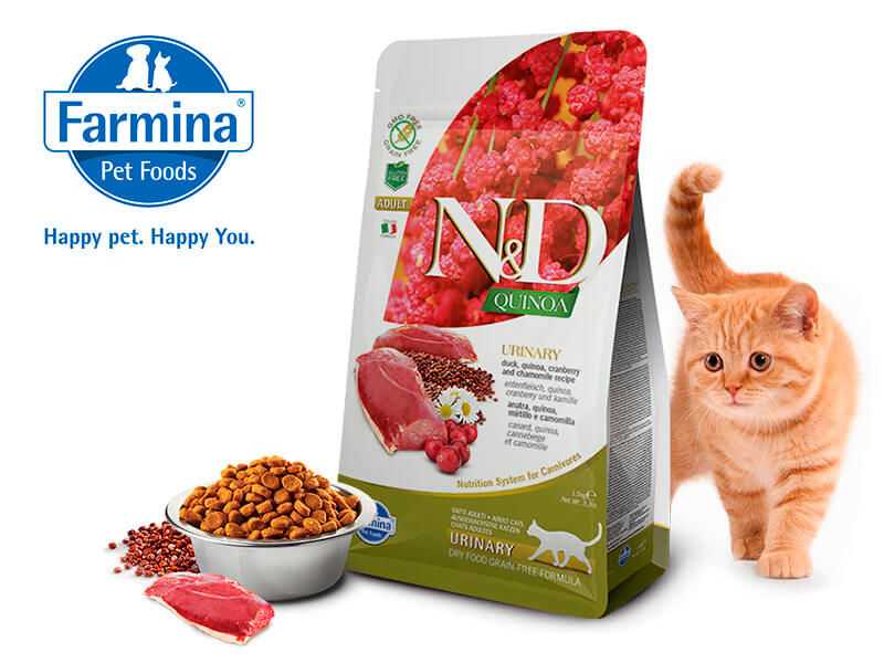 Обзор корма для кошек farmina: состав и подробное описание всех линеек