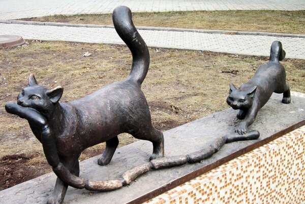 Памятники котам и кошкам в петербурге — жизнь в санкт-петербурге