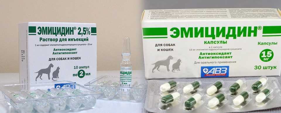 Эмицидин для кошек: инструкция по применению, особенности препарата, отзывы