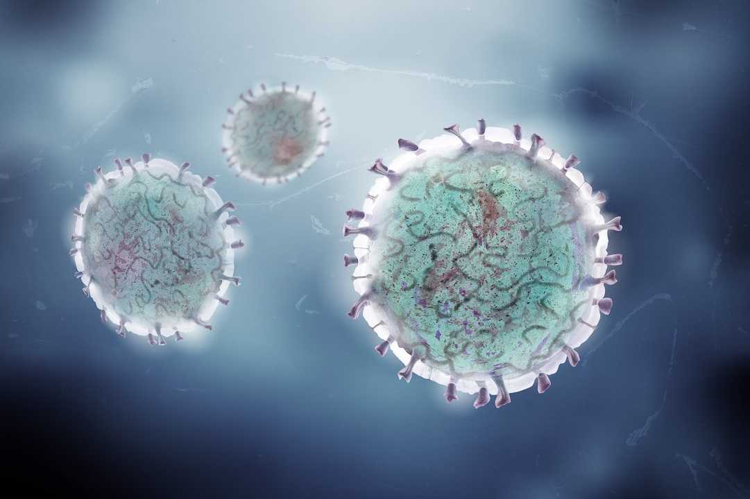 Истоки пандемии covid-19: экология и генетика коронавирусов (betacoronavirus: coronaviridae) sars-cov, sars-cov-2 (подрод sarbecovirus), mers-cov (подрод merbecovirus) | львов | вопросы вирусологии