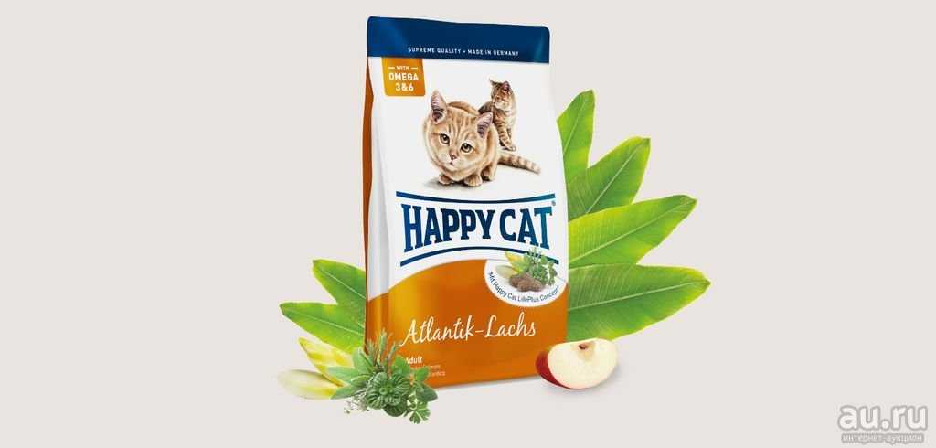Обзор корма для кошек Хэппи Кэт (Happy Cat) - подробный анализ состава, ценовой диапазон, отзывы владельцев питомцев и ветеринаров