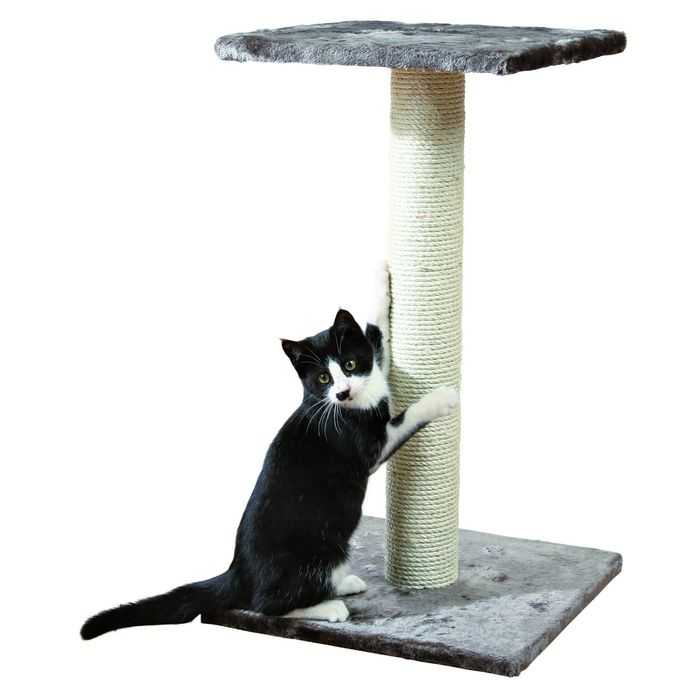 Когтеточка для кошек: виды - домик, столбик, угловая и др, способы выбора и изготовления когтеточек для котов в домашних условиях, фото