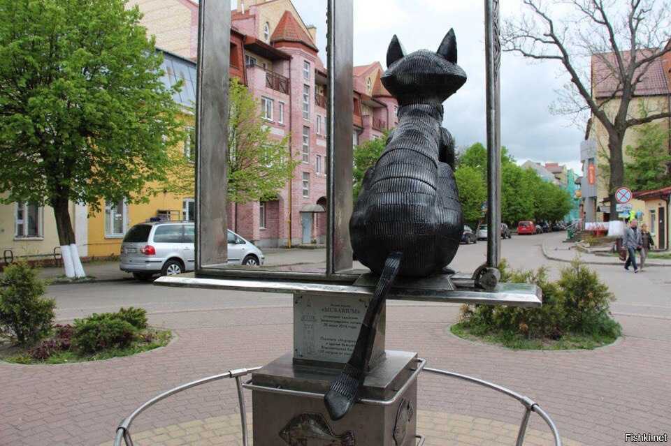 Памятники котам и кошкам в петербурге