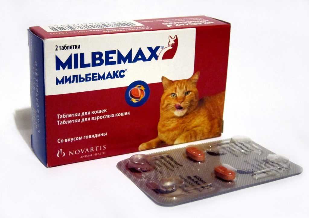 Препараты для дегельминтизации кошек