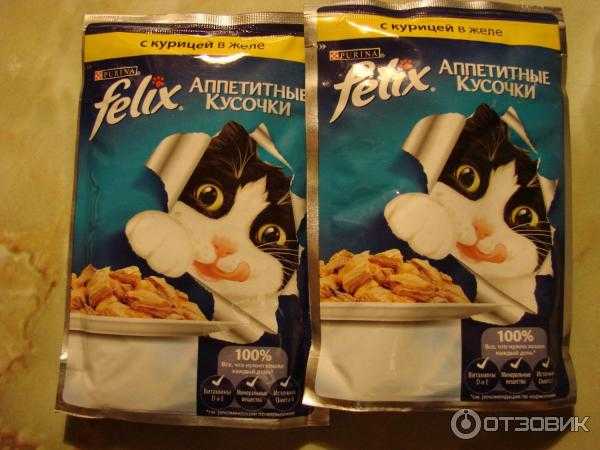 Отзывы о корме felix (феликс) для кошек