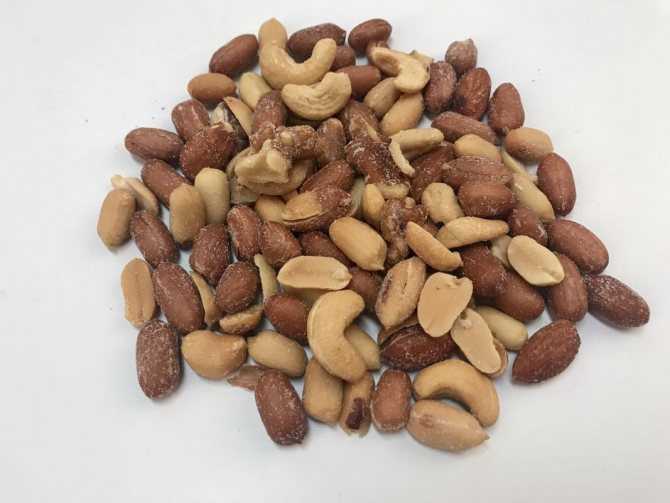 Какие орехи можно давать хомякам: едят ли желуди, грецкие, миндаль, фундук, арахис, кедровые, кешью, кунжут; джунгарским, сирийским и другим видам
