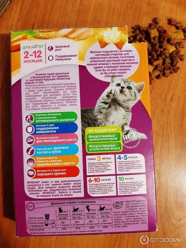Сухой корм для котят: рейтинг лучших кормов по качеству. нужно ли его размачивать? отзывы ветеринаров