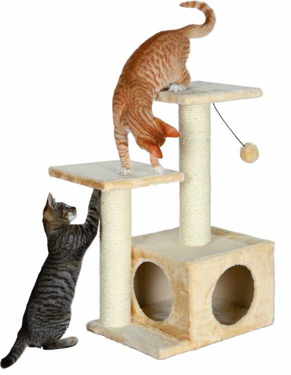 Когтеточка для кота — советы как выбрать когтедралки, специальные домики и места для кошек (115 фото)
