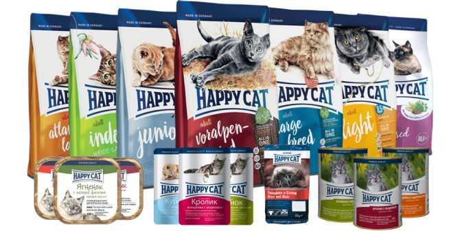 Обзор корма для кошек Хэппи Кэт (Happy Cat) - подробный анализ состава, ценовой диапазон, отзывы владельцев питомцев и ветеринаров
