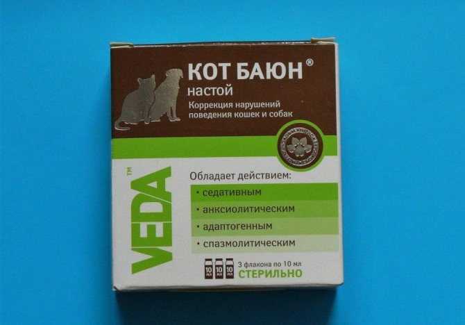 Кот баюн (таблетки) для кошек и собак | отзывы о применении препаратов для животных от ветеринаров и заводчиков