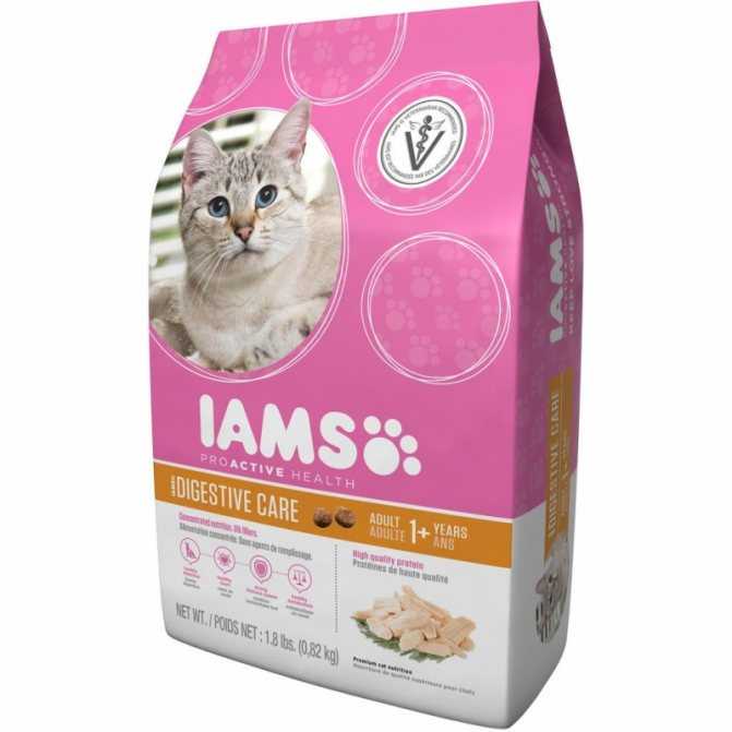 Обзор корма для кошек Ямс (Iams) - ассортимент и подробный анализ состава, ценовой диапазон, отзывы владельцев питомцев и ветеринаров