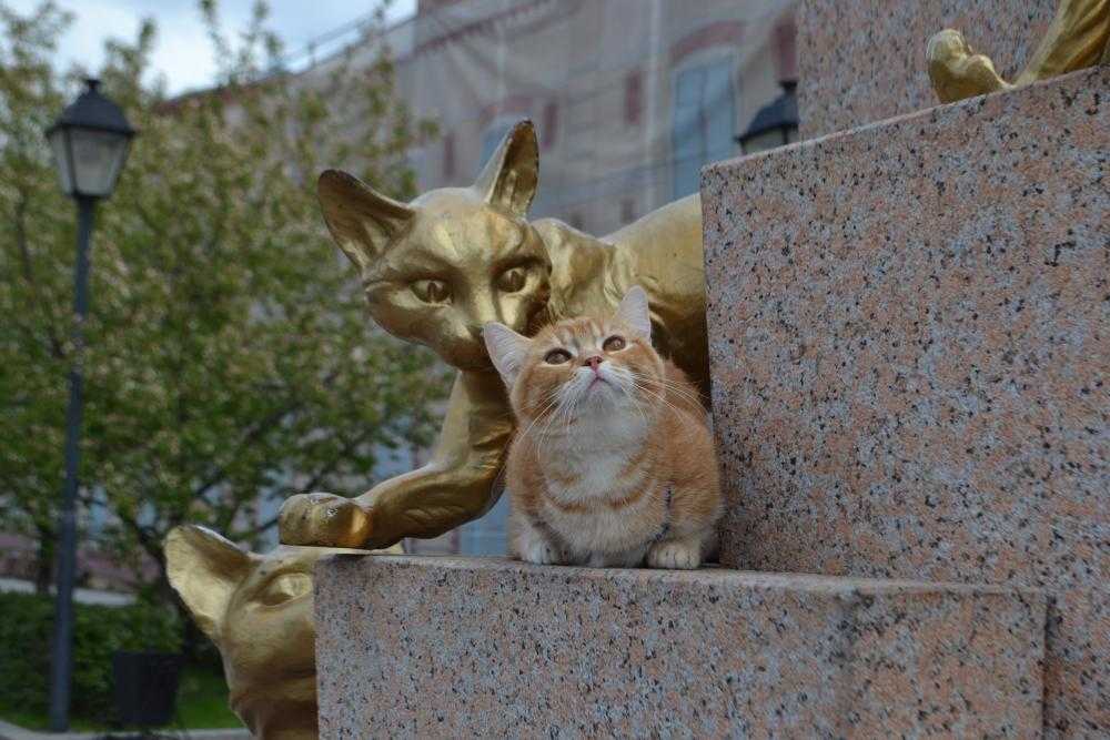 Скульптуры и памятники кошкам | fresher - лучшее из рунета за день