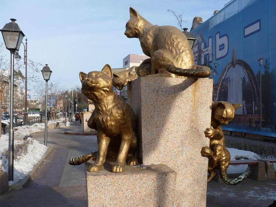 Тайны тюменской аллеи сибирских кошек