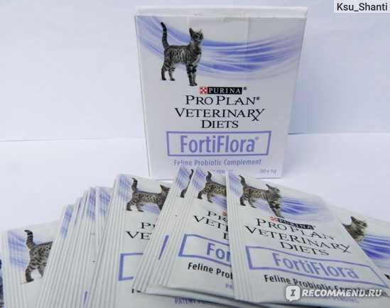 Фортифлора для кошек: инструкция по применению, состав, дозировка и цена | kotodom.ru