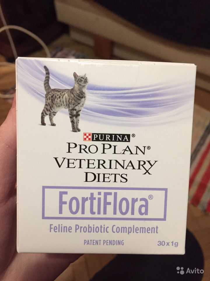 Пробиотик фортифлора для кошек: состав, инструкция по применению, дозировка, отзывы, цена и аналоги