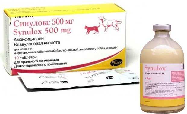 Синулокс 50 250 500 антибиотик для кошек и собак инструкция по применению лекарства 
синулокса суспензии в ветеринарии дозировка отзывы