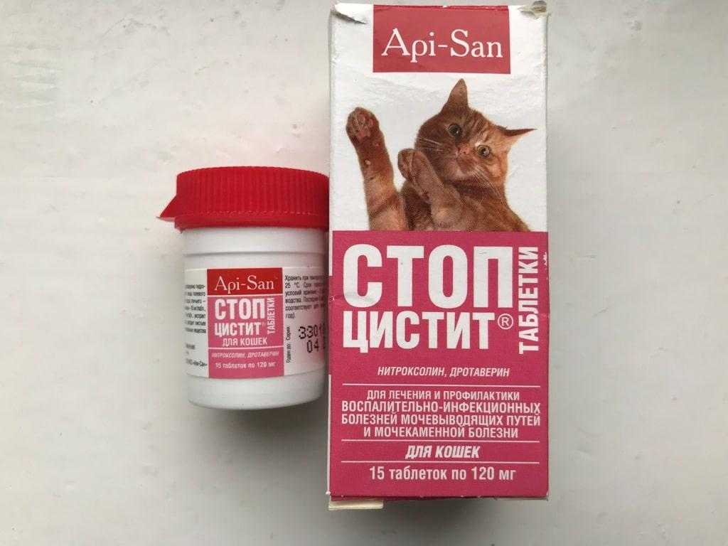 Как и чем лечить цистит у кота