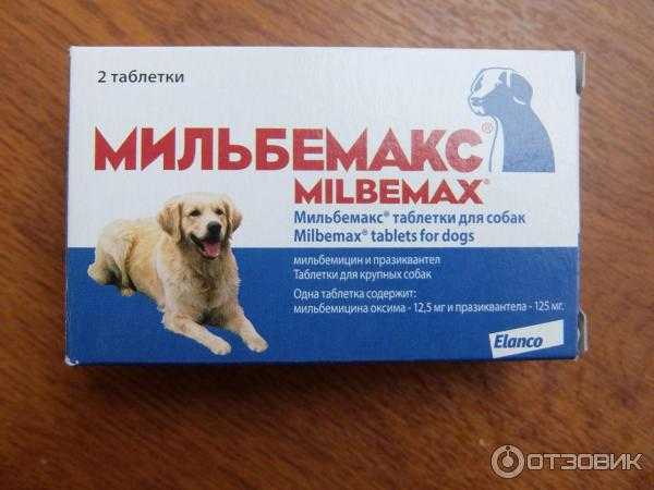 Мильбемакс для собак: инструкция по применению, состав и действие, отзывы