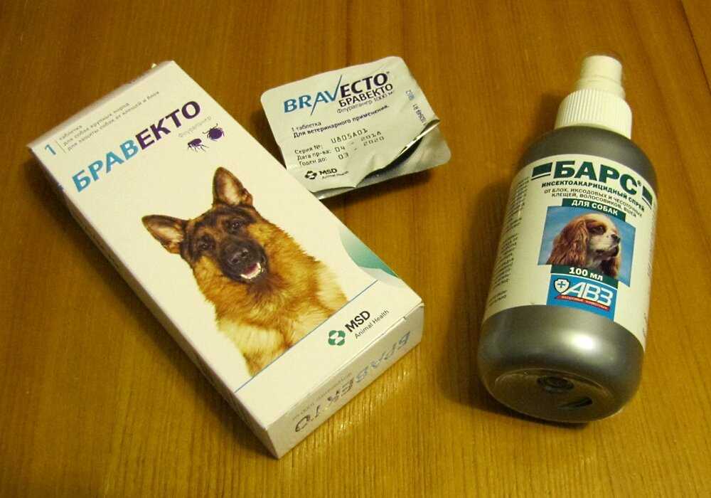 🐩лучшие таблетки и капли от клещей для собак на 2021 год