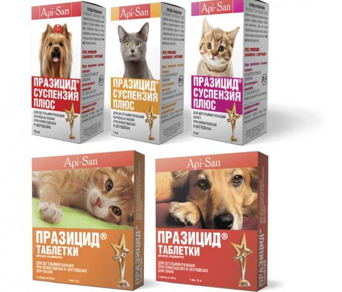 Препараты Празицид для кошек, котов и котят: формы выпуска, инструкция и показания к применению, отзывы ветеринаров, цена